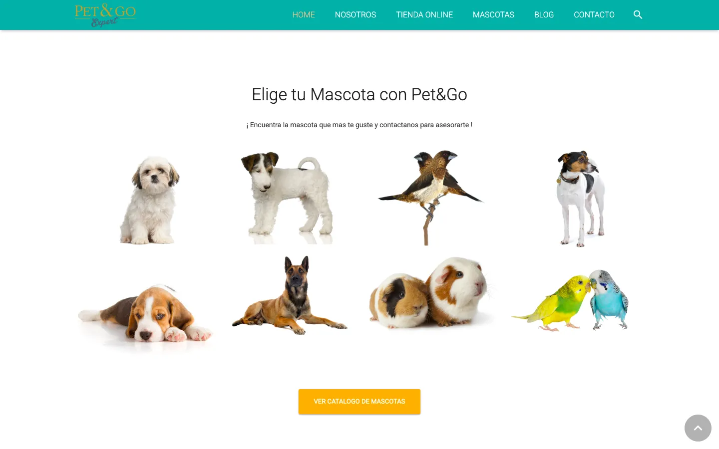Catálogo de mascotas Pet&Go